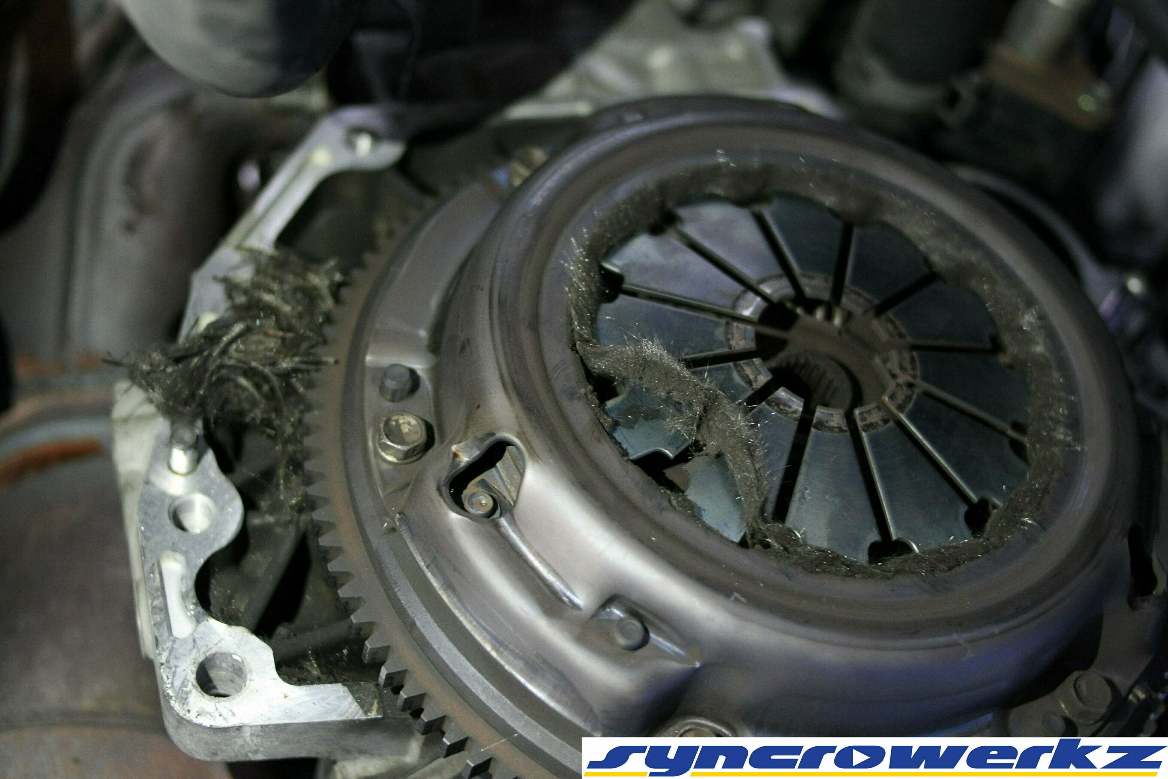 Clutch material sneaking a peek into the world