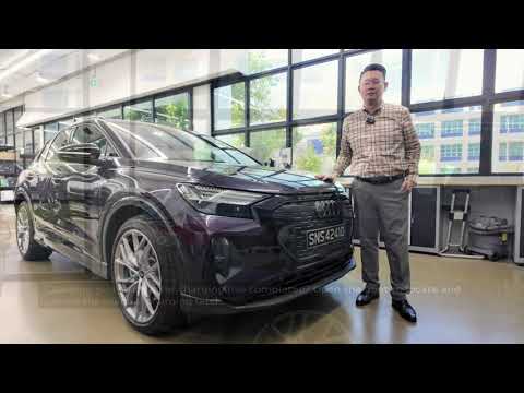 Audi Service - Steps to remove a stuck charging gun